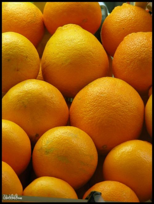 Fotografia de Alberto Ponte Reines Portfolio - Galeria Fotografica: Grecia, Italia, Egipto, etc - Foto: Puesto de naranjas, Roma