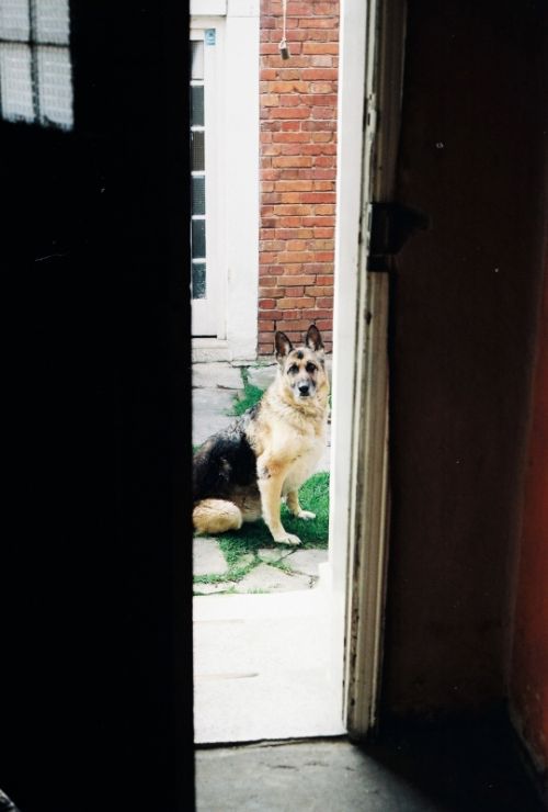 Fotografia de stephano183 - Galeria Fotografica: Noviembre 2010 - Foto: 