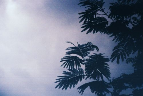 Fotografia de stephano183 - Galeria Fotografica: Noviembre 2010 - Foto: 