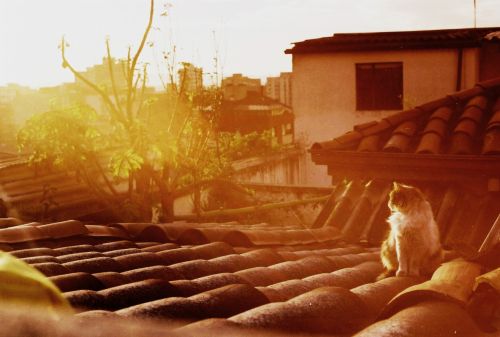 Fotografia de stephano183 - Galeria Fotografica: Noviembre 2010 - Foto: horizonte