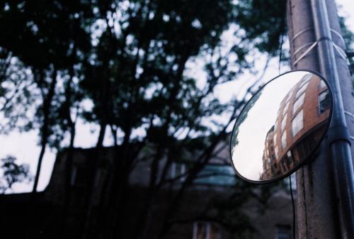 Fotografia de stephano183 - Galeria Fotografica: Diciembre 2010 - Foto: 