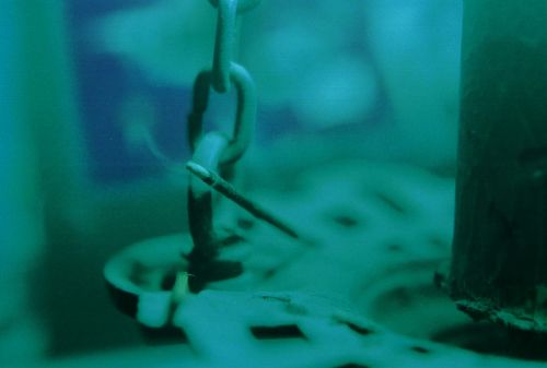 Fotografia de stephano183 - Galeria Fotografica: Enero 2011 - Foto: 