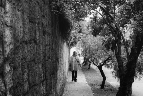 Fotografia de stephano183 - Galeria Fotografica: Enero 2011 - Foto: 