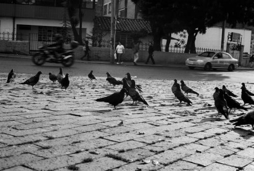 Fotografia de stephano183 - Galeria Fotografica: Febrero 2011 - Foto: 