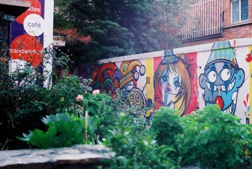 Fotografia de stephano183 - Galeria Fotografica: Febrero 2011 - Foto: 