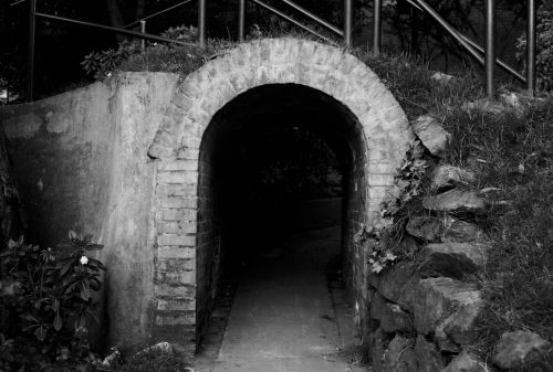 Fotografia de stephano183 - Galeria Fotografica: Febrero 2011 - Foto: 