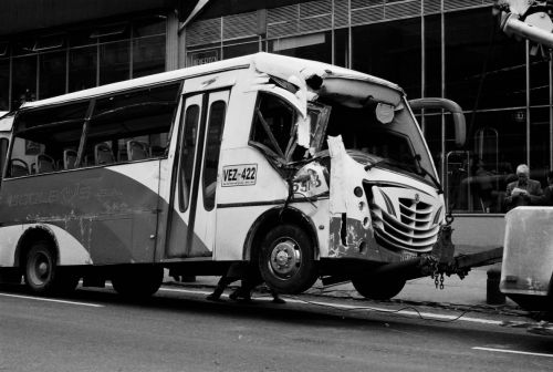 Fotografia de stephano183 - Galeria Fotografica: Marzo 2011 - Foto: 