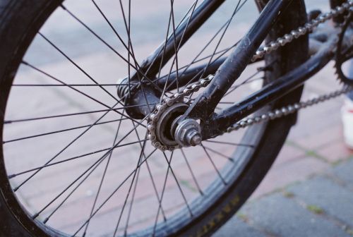 Fotografia de stephano183 - Galeria Fotografica: Marzo 2011 - Foto: 