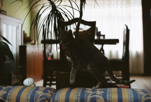 Fotografia de stephano183 - Galeria Fotografica: Marzo 2011 - Foto: 