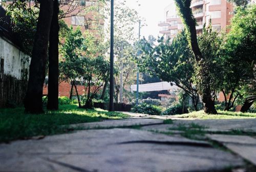 Fotografia de stephano183 - Galeria Fotografica: Abril 2011 - Foto: 