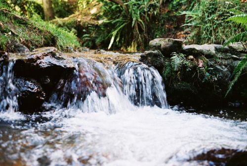 Fotografia de stephano183 - Galeria Fotografica: Abril 2011 - Foto: 