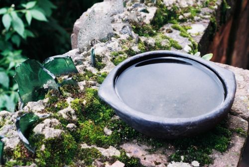 Fotografia de stephano183 - Galeria Fotografica: Abril 2011 - Foto: 