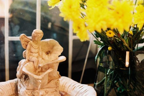 Fotografia de stephano183 - Galeria Fotografica: Mayo 2011 - Foto: 