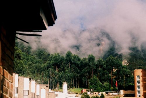 Fotografia de stephano183 - Galeria Fotografica: junio 2011 - Foto: 