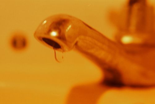 Fotografia de stephano183 - Galeria Fotografica: junio 2011 - Foto: 