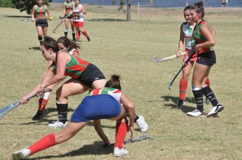 Fotografia de osvaldo cangelosi - Galeria Fotografica: CEBADA CERVECERA  2012  - Foto: 