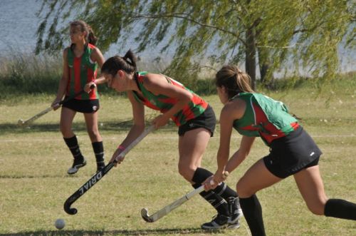 Fotografia de osvaldo cangelosi - Galeria Fotografica: CEBADA CERVECERA  2012  - Foto: 