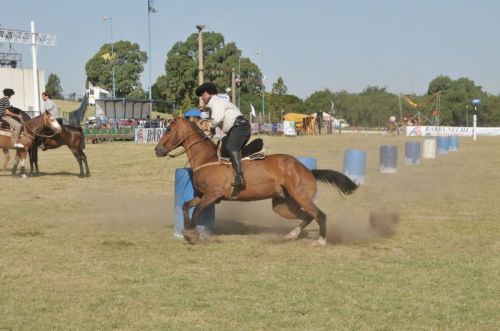Fotografia de osvaldo cangelosi - Galeria Fotografica: CEBADA CERVECERA  2012  - Foto: 