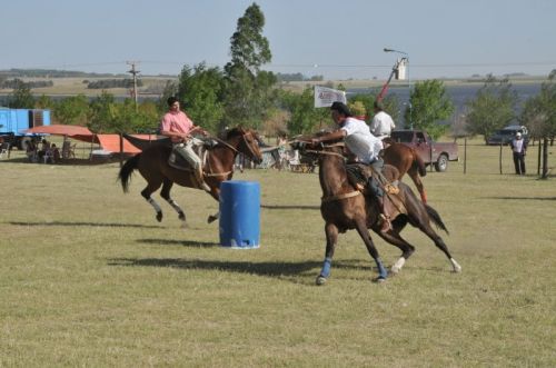 Fotografia de osvaldo cangelosi - Galeria Fotografica: CEBADA CERVECERA  2012  - Foto: 