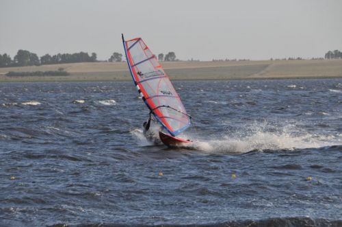 Fotografia de osvaldo cangelosi - Galeria Fotografica: CEBADA CERVECERA  2012  - Foto: 