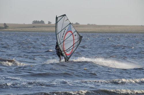 Fotografia de osvaldo cangelosi - Galeria Fotografica: CEBADA CERVECERA  2012  - Foto: 