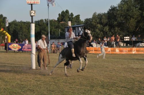 Fotografia de osvaldo cangelosi - Galeria Fotografica: CEBADA CERVECERA  2012  - Foto: 