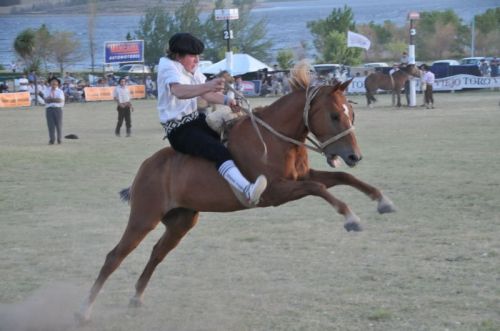 Fotografia de osvaldo cangelosi - Galeria Fotografica: CEBADA CERVECERA  2012  - Foto: 