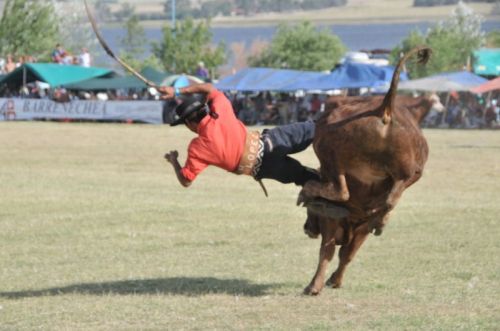 Fotografia de osvaldo cangelosi - Galeria Fotografica: CEBADA CERVECERA  2012  - Foto: 