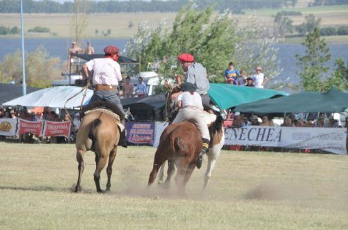 Fotografia de osvaldo cangelosi - Galeria Fotografica: CEBADA CERVECERA  2012  - Foto: 