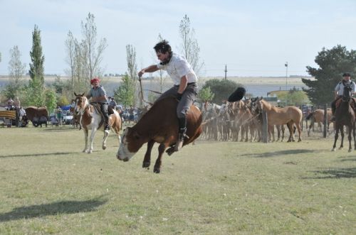 Fotografia de osvaldo cangelosi - Galeria Fotografica: CEBADA CERVECERA  2012  - Foto: 
