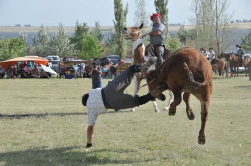 Fotografia de osvaldo cangelosi - Galeria Fotografica: CEBADA CERVECERA  2012  - Foto: 
