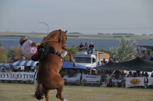 Fotografia de osvaldo cangelosi - Galeria Fotografica: CEBADA CERVECERA  2012  - Foto: 