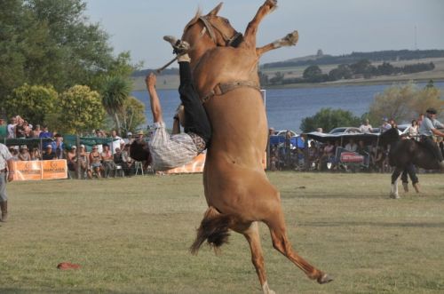 Fotografia de osvaldo cangelosi - Galeria Fotografica: CEBADA CERVECERA  2012  - Foto: 