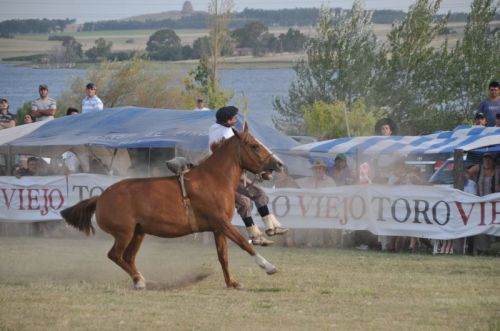 Fotografia de osvaldo cangelosi - Galeria Fotografica: CEBADA CERVECERA  2012  - Foto: 