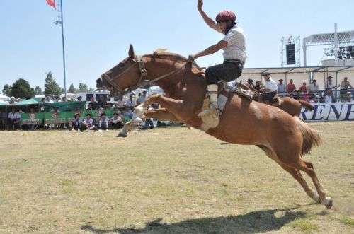 Fotografia de osvaldo cangelosi - Galeria Fotografica: CEBADA CERVECERA  2012  - Foto: 
