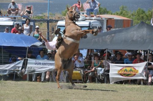 Fotografia de osvaldo cangelosi - Galeria Fotografica: CEBADA CERVECERA  2012  - Foto: 