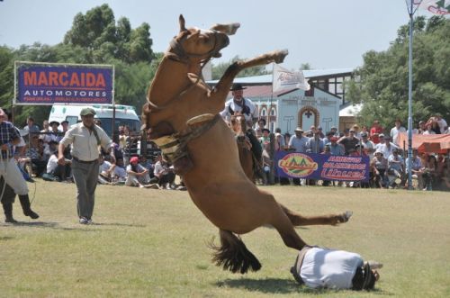 Fotografia de osvaldo cangelosi - Galeria Fotografica: CEBADA CERVECERA  2012  - Foto: 