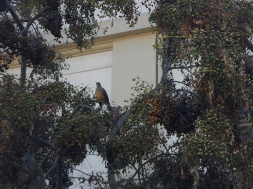 Fotografia de kelly - Galeria Fotografica: Recuerdos de un ayer,sue�os no concretados... - Foto: 