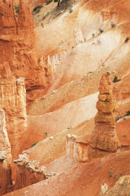 Fotografia de Nikonoclasta - Galeria Fotografica: Surrealismo real - Foto: Erosin I