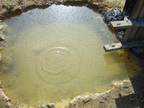 Fotografia de Jose Miguel - Galeria Fotografica: CIVIL - Foto: chaRCO