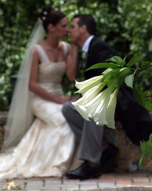 Fotografia de V�ctor Gracia - Galeria Fotografica: Fotograf�a de Bodas - Foto: 