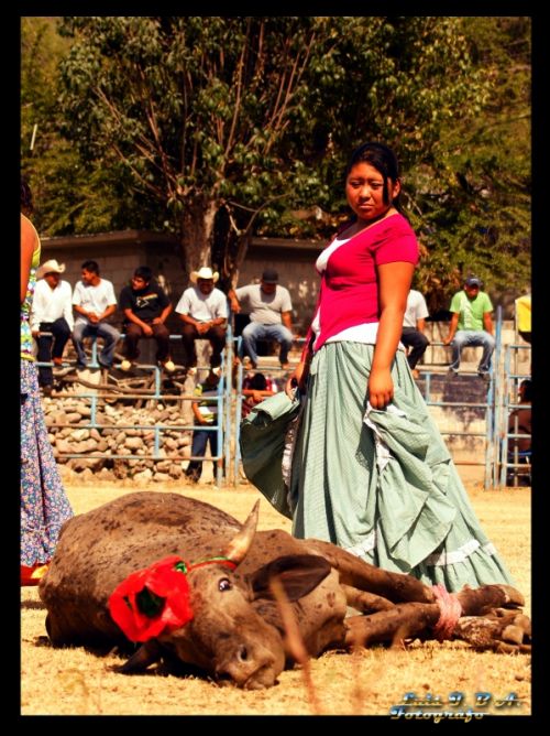 Fotografia de Luis I. Bueno A.  - Galeria Fotografica: Momentos - Foto: Asi inicia el jaripeo
