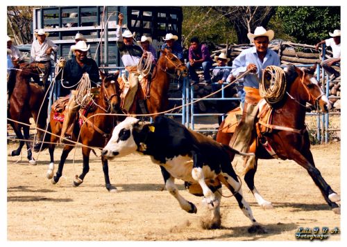 Fotografia de Luis I. Bueno A.  - Galeria Fotografica: Momentos - Foto: 