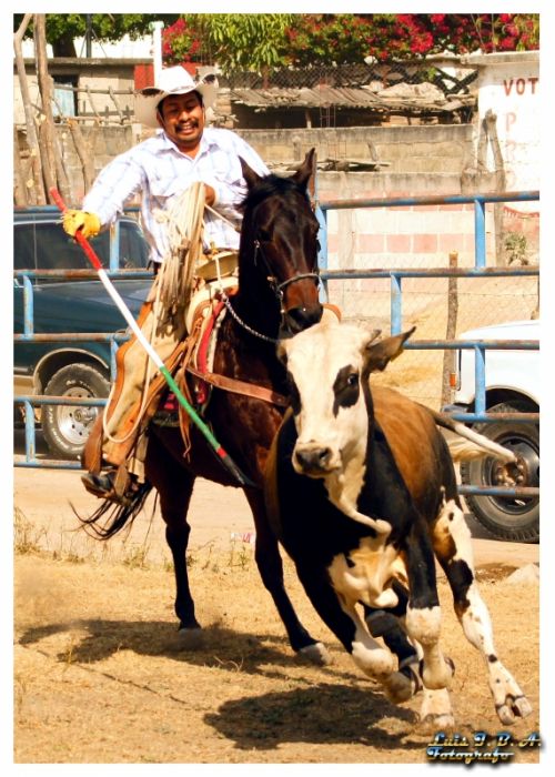 Fotografia de Luis I. Bueno A.  - Galeria Fotografica: Momentos - Foto: 