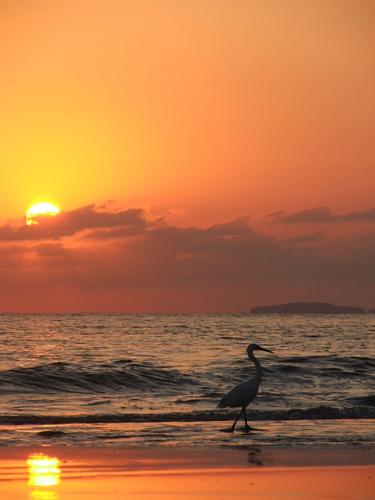 Fotografia de Maryjo Zavala - Galeria Fotografica: Aprendiz - Foto: atardecer