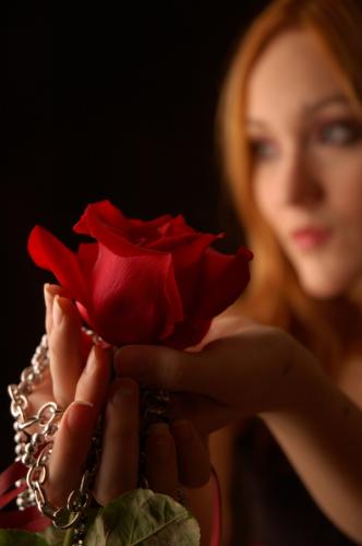 Fotografia de Juan Napolitano - Galeria Fotografica: dark elegante - Foto: 2 rosas 2