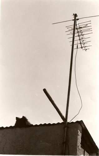 Fotografia de Juayek - Galeria Fotografica: Deteniendo El Tiempo - Foto: Localizando Almas