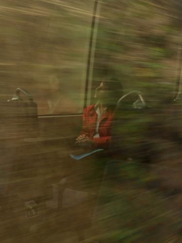 Fotografia de paula - Galeria Fotografica: naturaleza - Foto: 