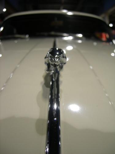 Fotografia de Ska_Wiking - Galeria Fotografica: Maastricht - Ferrari Expo - Foto: Jaguar