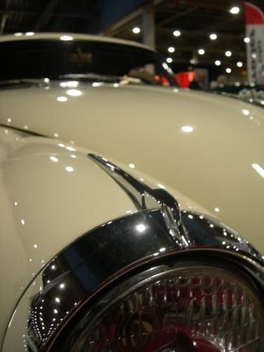 Fotografia de Ska_Wiking - Galeria Fotografica: Maastricht - Ferrari Expo - Foto: Jaguar (otra vista)